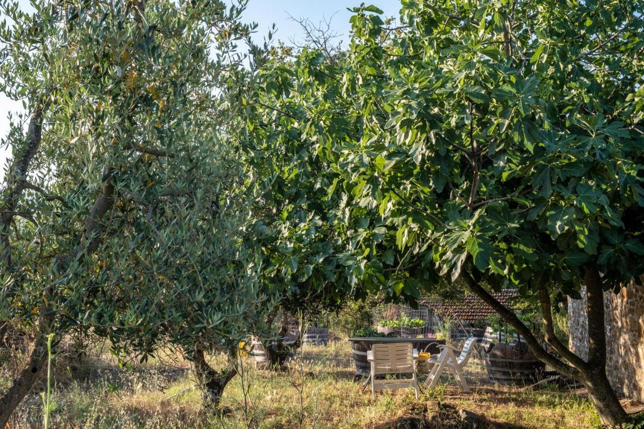 Podere Pruneto Radda in Chianti Exteriér fotografie